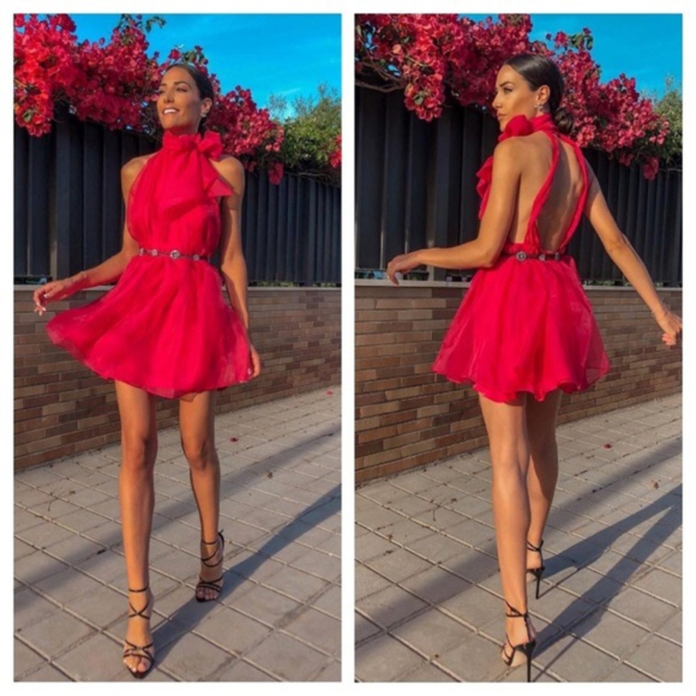 Zara Pink Organza Dress
